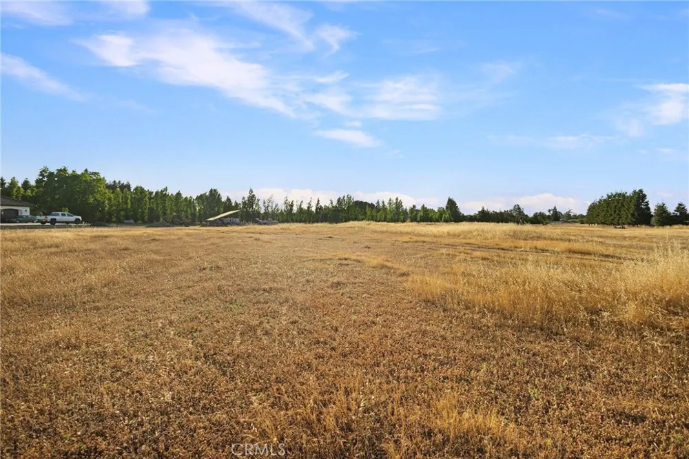 6690 County Road 21 Orland, CA 95963