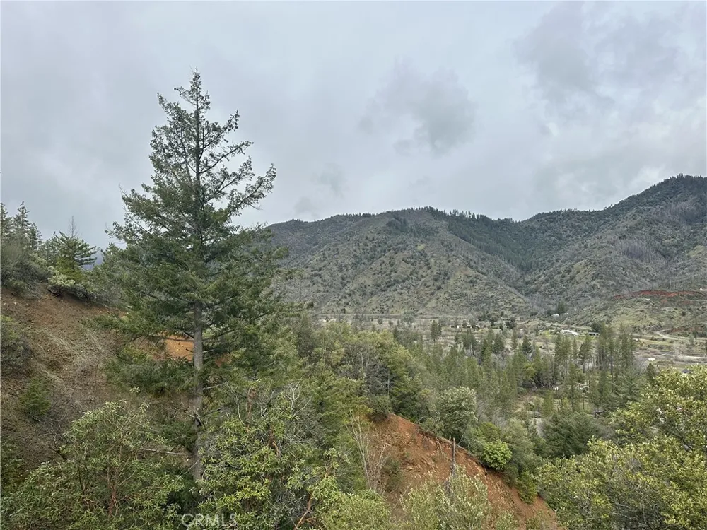 240 Rasmusen Lane Junction City, CA 96048