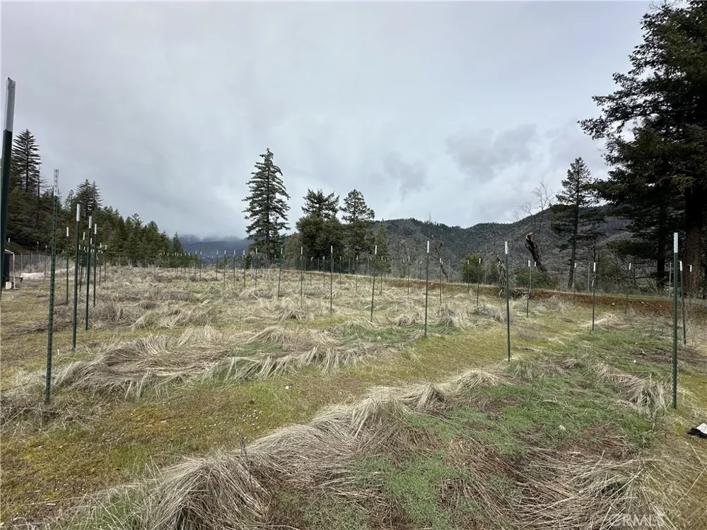240 Rasmusen Lane Junction City, CA 96048