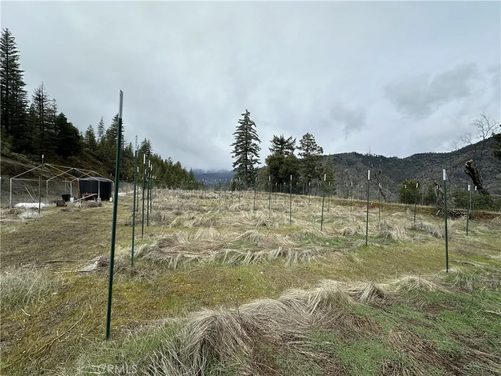240 Rasmusen Lane Junction City, CA 96048