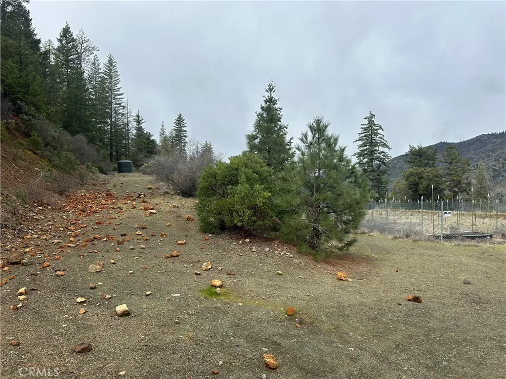 240 Rasmusen Lane Junction City, CA 96048