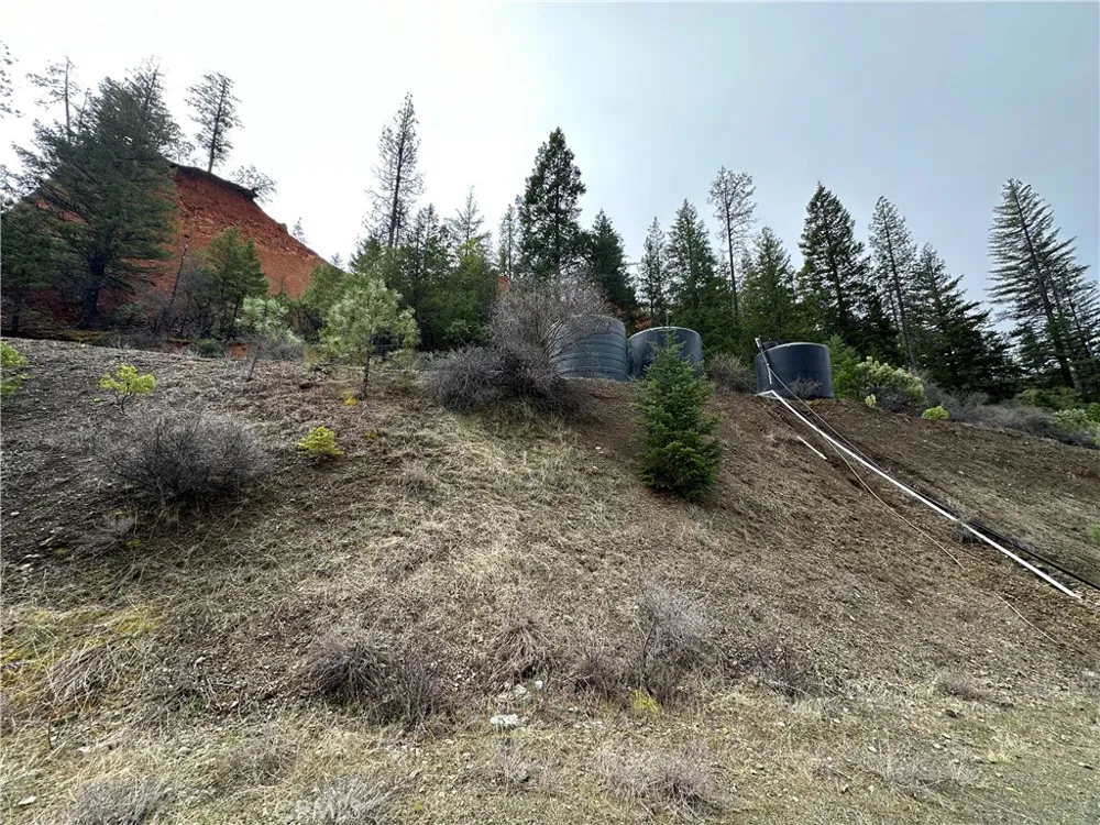 240 Rasmusen Lane Junction City, CA 96048