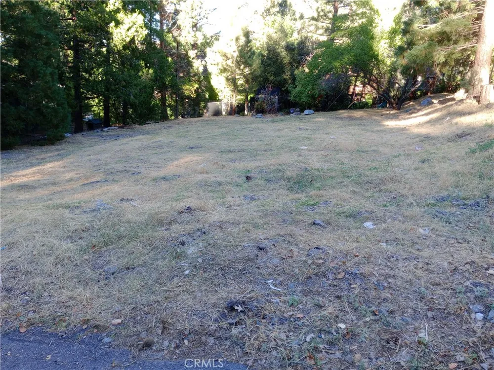 5457 Morning Star Court Wrightwood, CA 92397