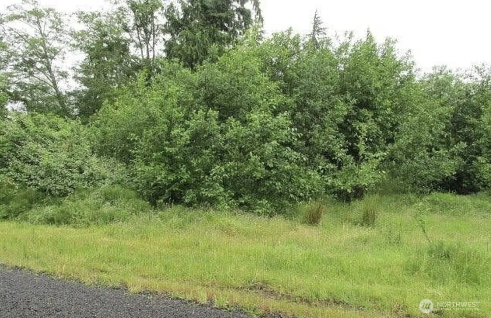 0 Lomax Street Aberdeen, WA 98520
