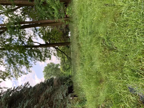 Silver Lake Road