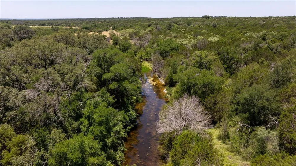 CR 386 Carlton, TX 76436
