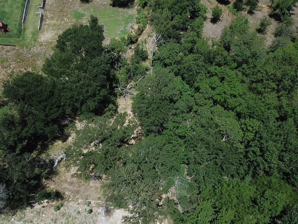 1925 Carter Lane Gunter, TX 75058