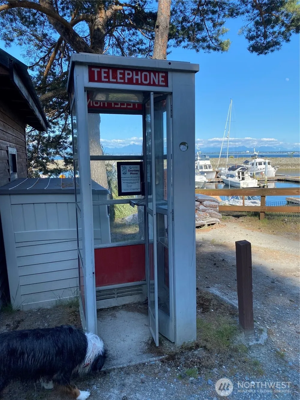 16 A Saratoga  (Including D-15) Drive Hat Island, WA 98206