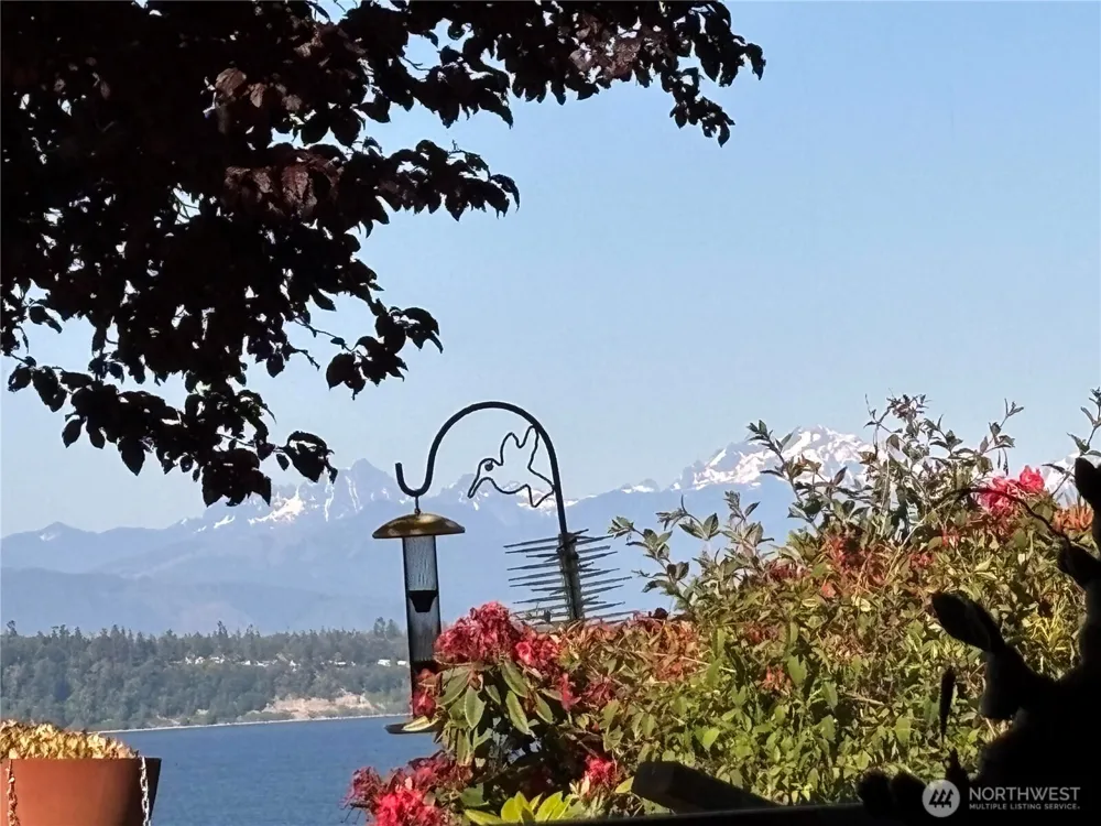 16 A Saratoga  (Including D-15) Drive Hat Island, WA 98206