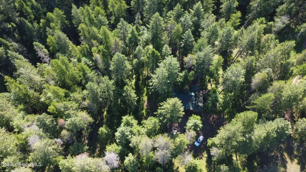 1942 Two Tail Road Bonners Ferry, ID 83805