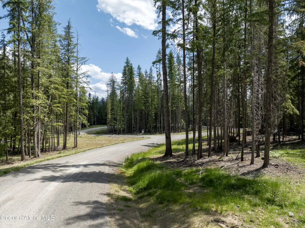 Lot 4 Brown Bear Drive Nordman, ID 83848