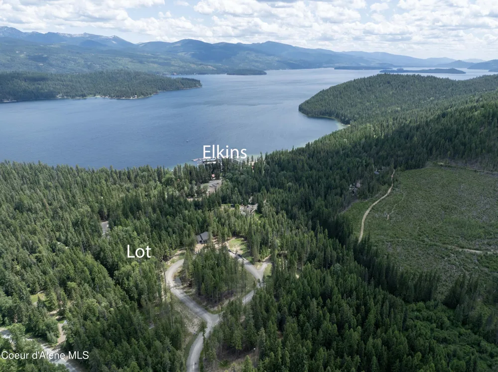Lot 4 Brown Bear Drive Nordman, ID 83848