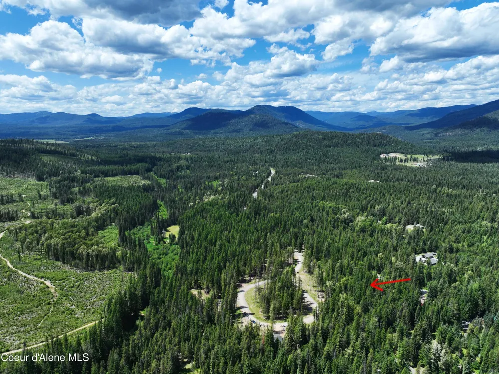 Lot 4 Brown Bear Drive Nordman, ID 83848