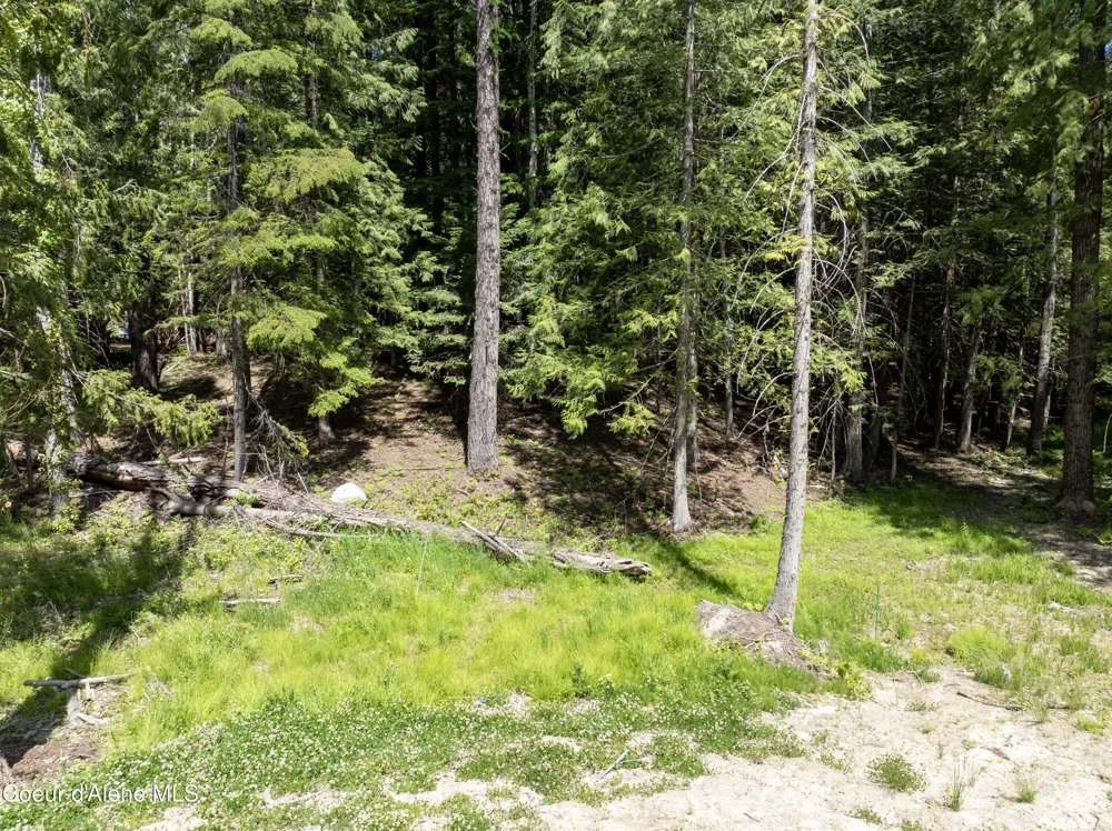 Lot 4 Brown Bear Drive Nordman, ID 83848
