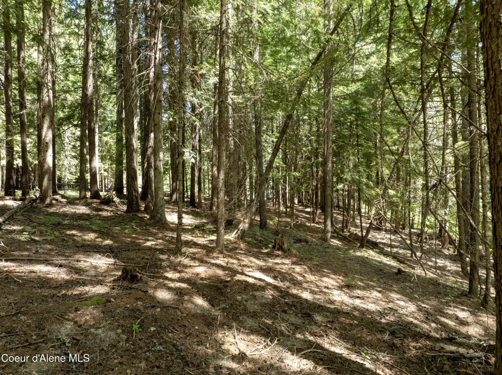 Lot 4 Brown Bear Drive Nordman, ID 83848