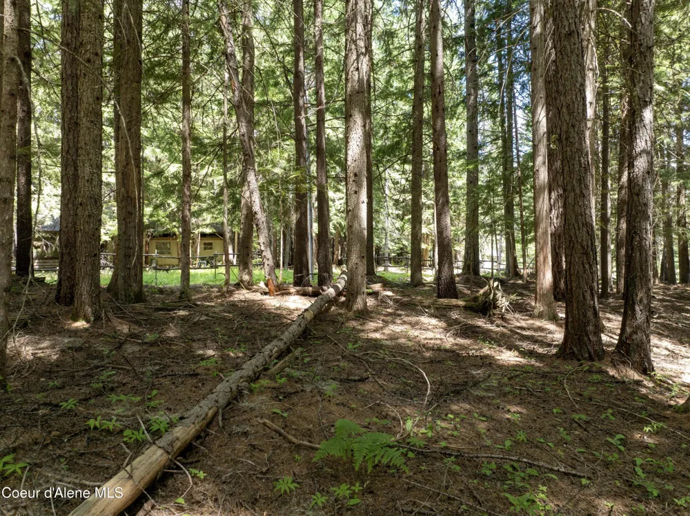 Lot 4 Brown Bear Drive Nordman, ID 83848