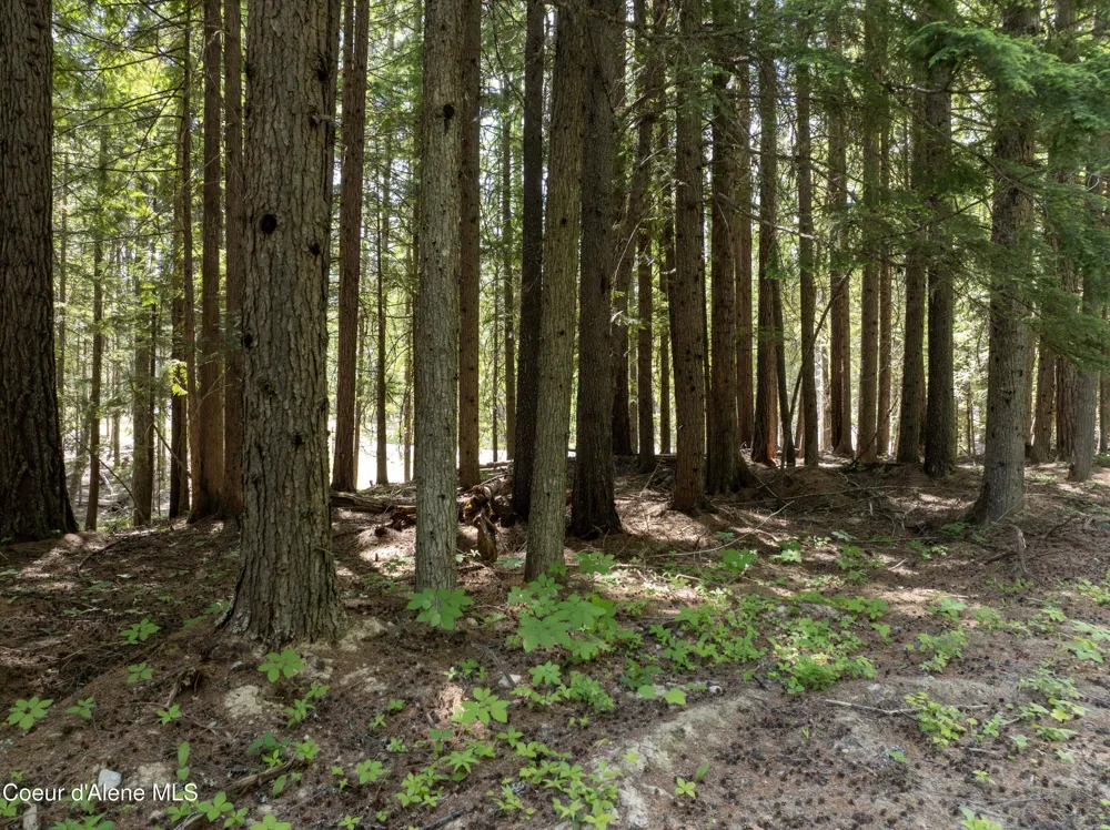 Lot 4 Brown Bear Drive Nordman, ID 83848