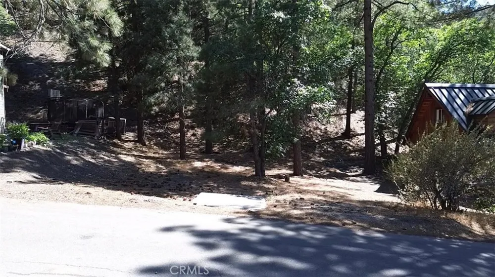 Heath Creek Drive Wrightwood, CA 92397