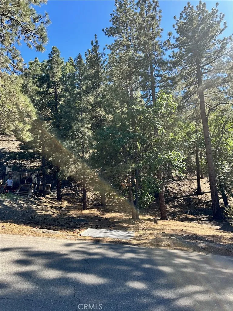 Heath Creek Drive Wrightwood, CA 92397