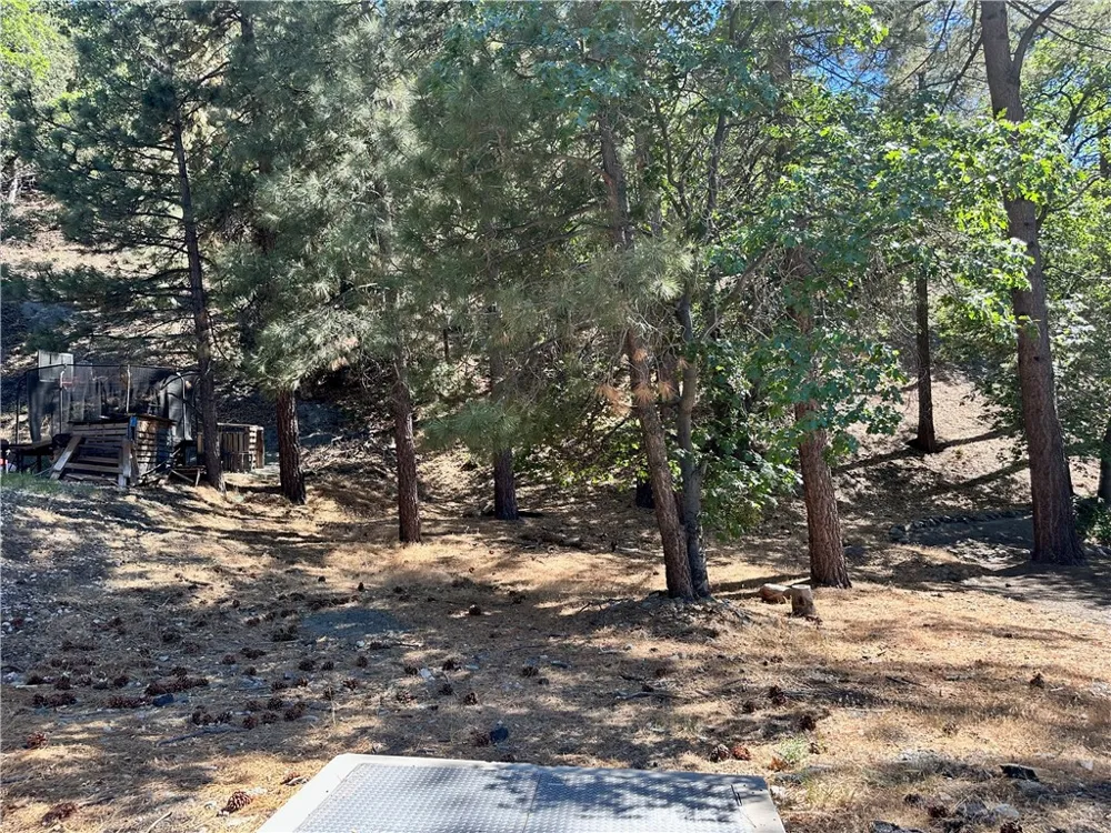 Heath Creek Drive Wrightwood, CA 92397