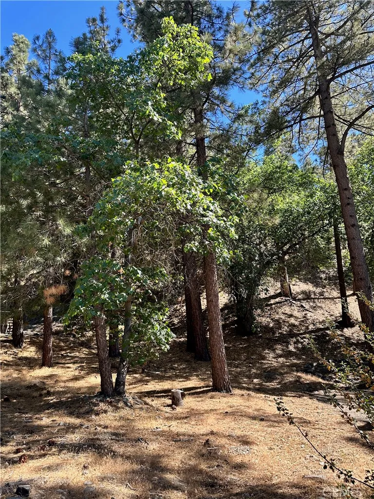 Heath Creek Drive Wrightwood, CA 92397