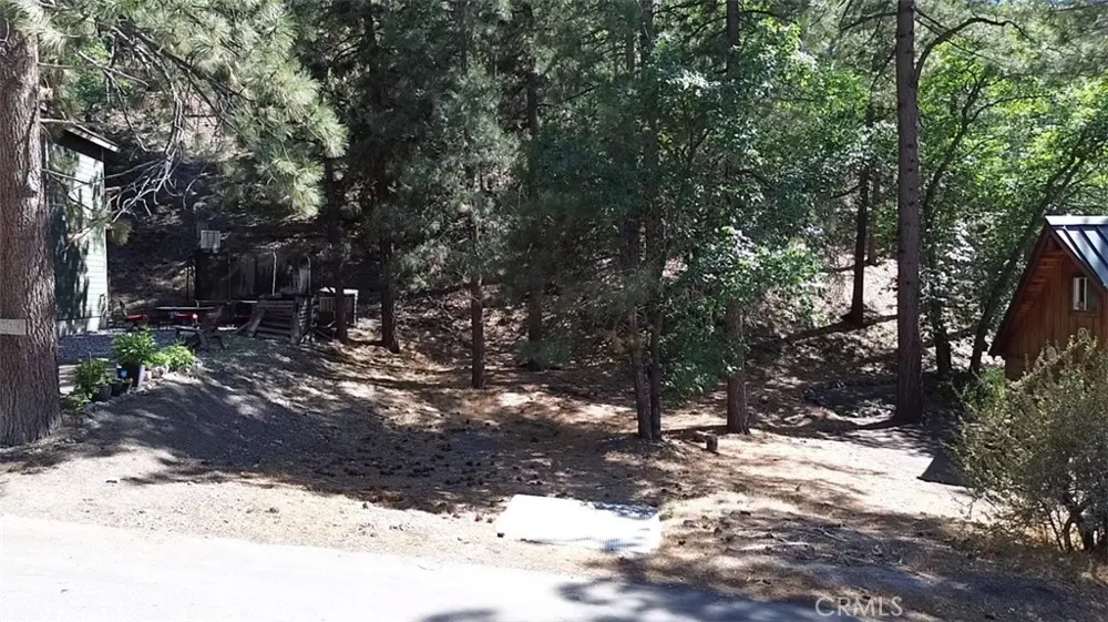 Heath Creek Drive Wrightwood, CA 92397