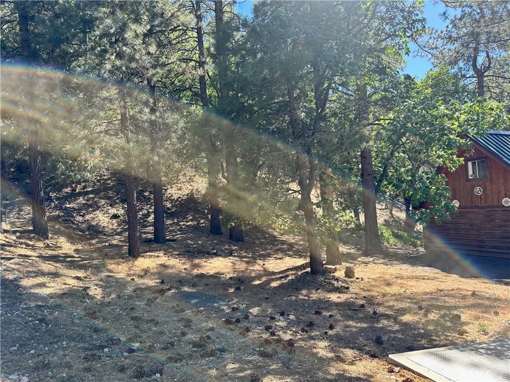 Heath Creek Drive Wrightwood, CA 92397