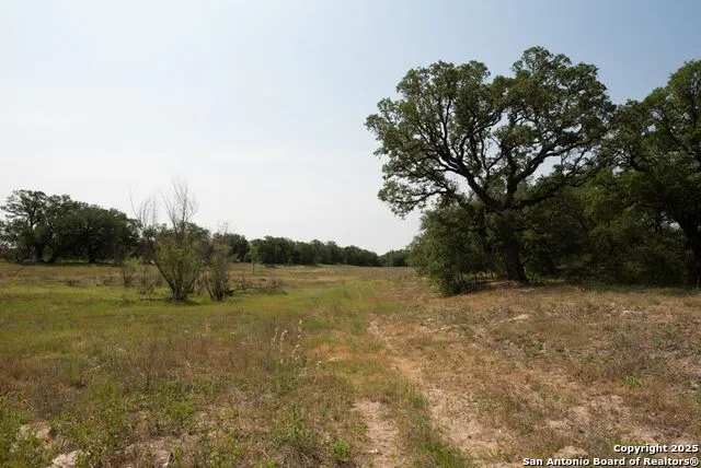 1003 County Road 334 Stockdale, TX 78160