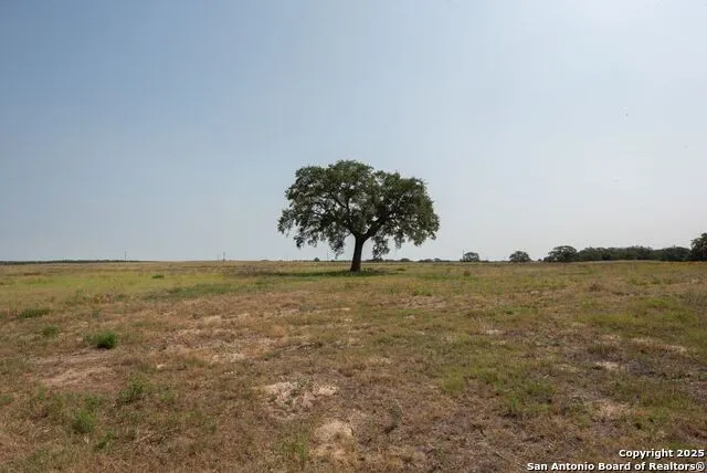 1003 County Road 334 Stockdale, TX 78160