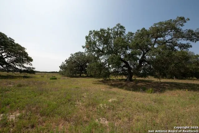 1003 County Road 334 Stockdale, TX 78160