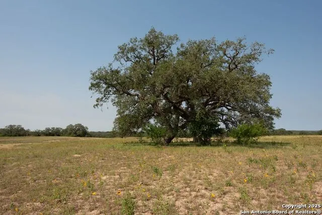1003 County Road 334 Stockdale, TX 78160