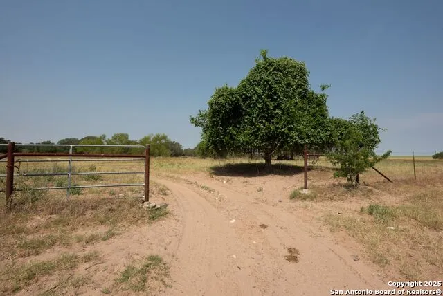 1003 County Road 334 Stockdale, TX 78160
