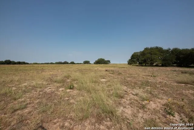 1003 County Road 334 Stockdale, TX 78160
