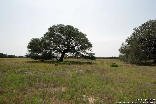 1003 County Road 334 Stockdale, TX 78160