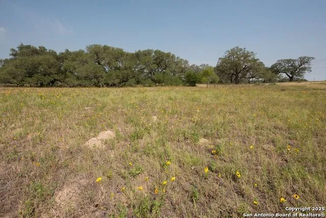 1003 County Road 334 Stockdale, TX 78160