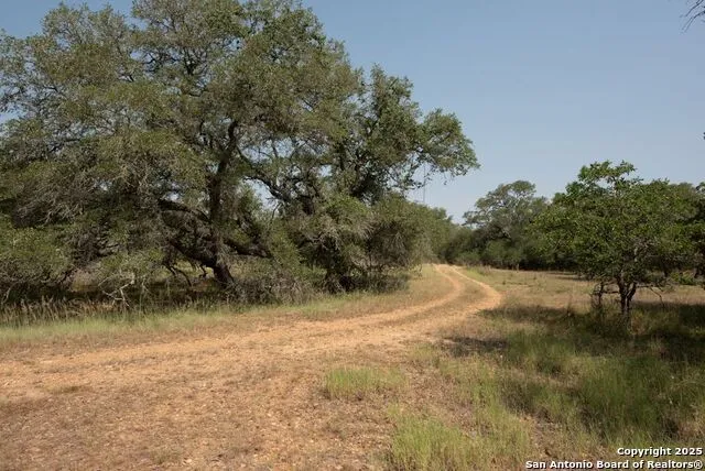 1003 County Road 334 Stockdale, TX 78160
