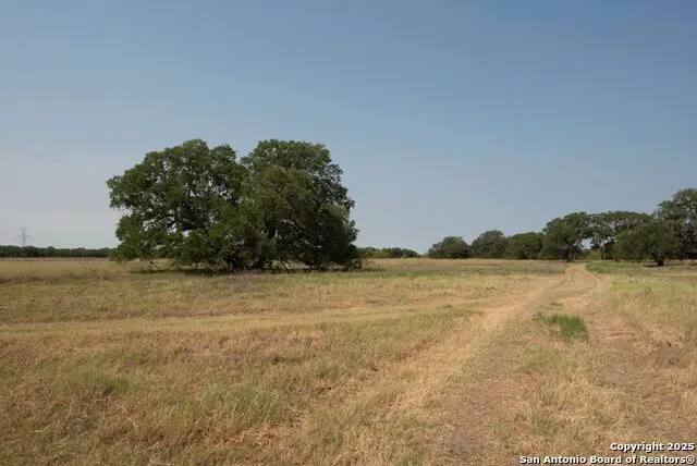 1003 County Road 334 Stockdale, TX 78160