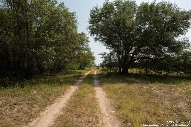 1003 County Road 334 Stockdale, TX 78160