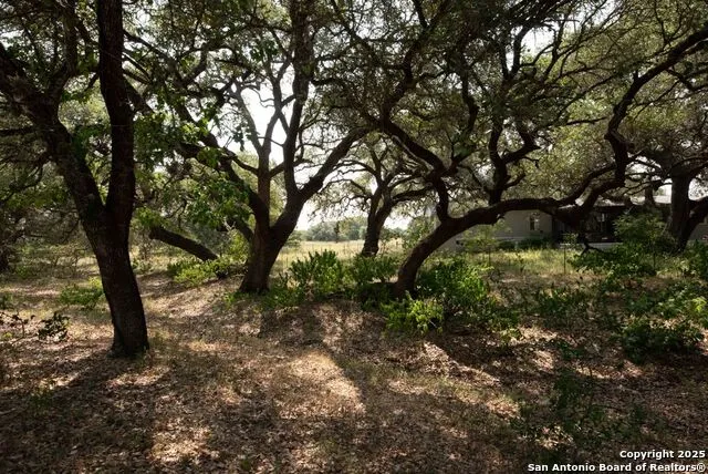 1003 County Road 334 Stockdale, TX 78160