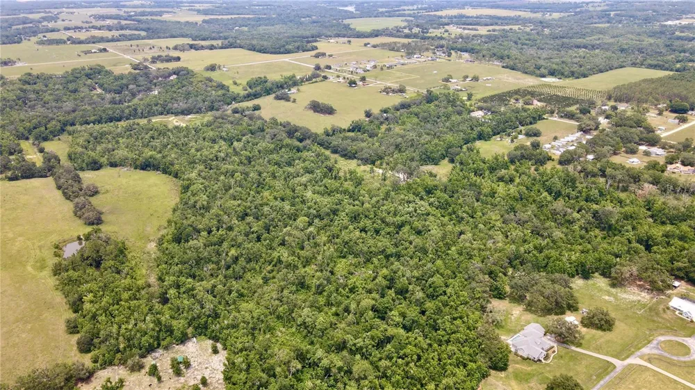 14435 CURLEY ROAD Dade City, FL 33525