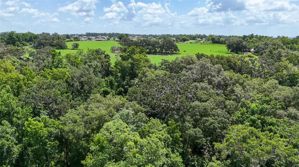 14435 CURLEY ROAD Dade City, FL 33525
