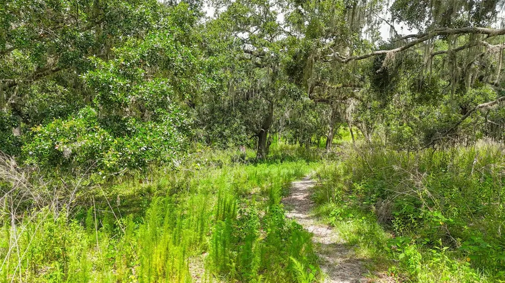 14435 CURLEY ROAD Dade City, FL 33525