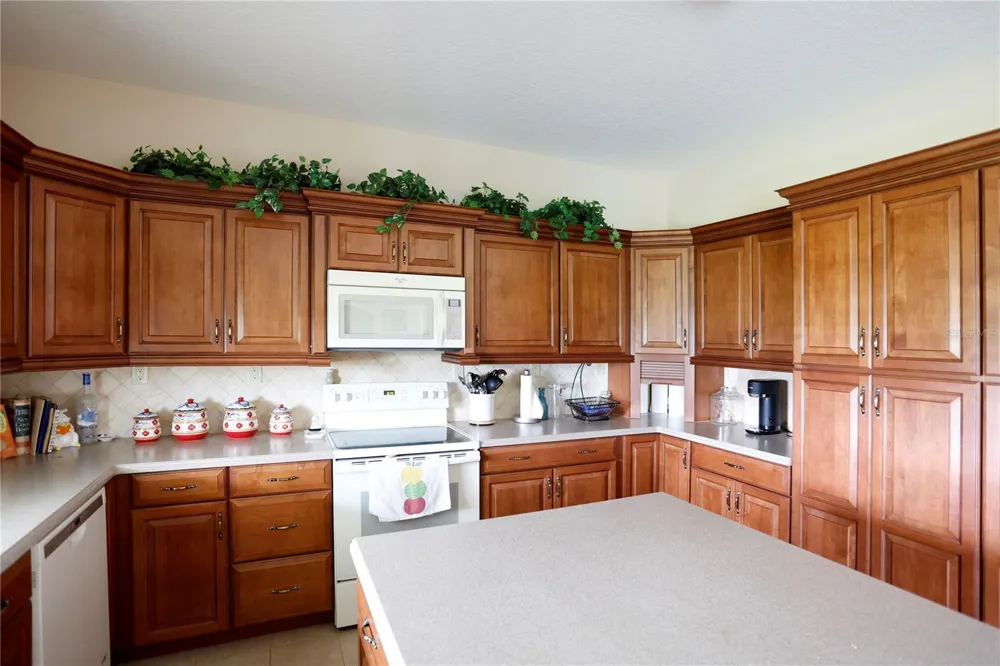 14435 CURLEY ROAD Dade City, FL 33525