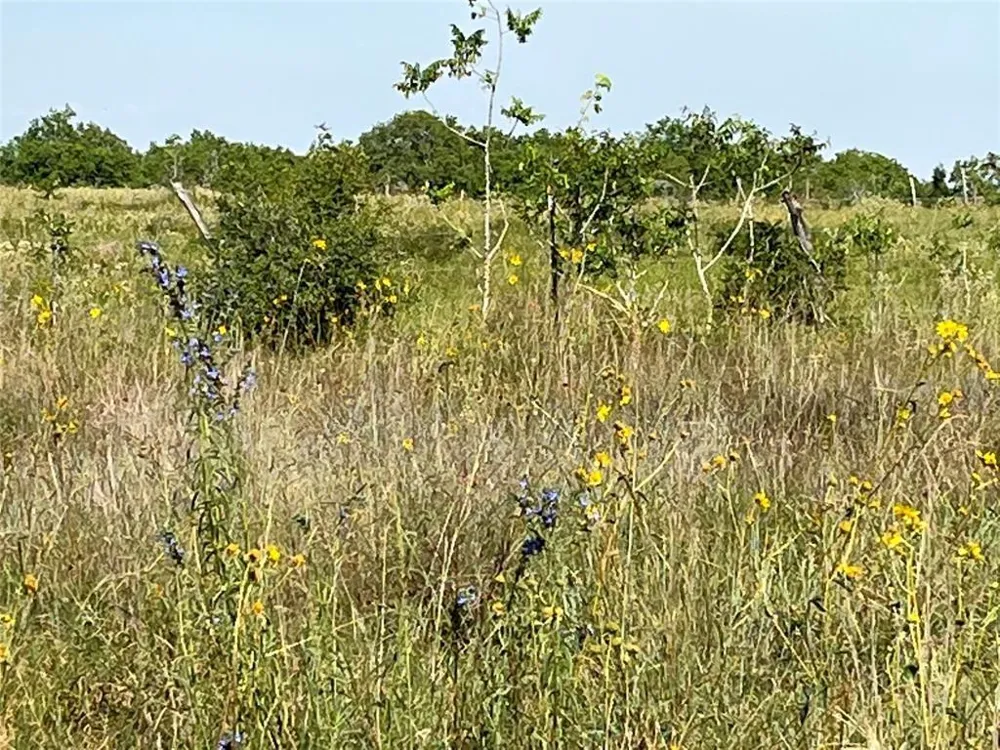Crooked Road Cat Spring, TX 78933