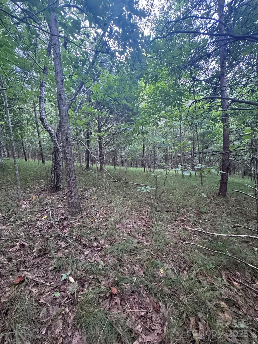 0 Cross Creek Drive #67 Rutherfordton, NC 00000