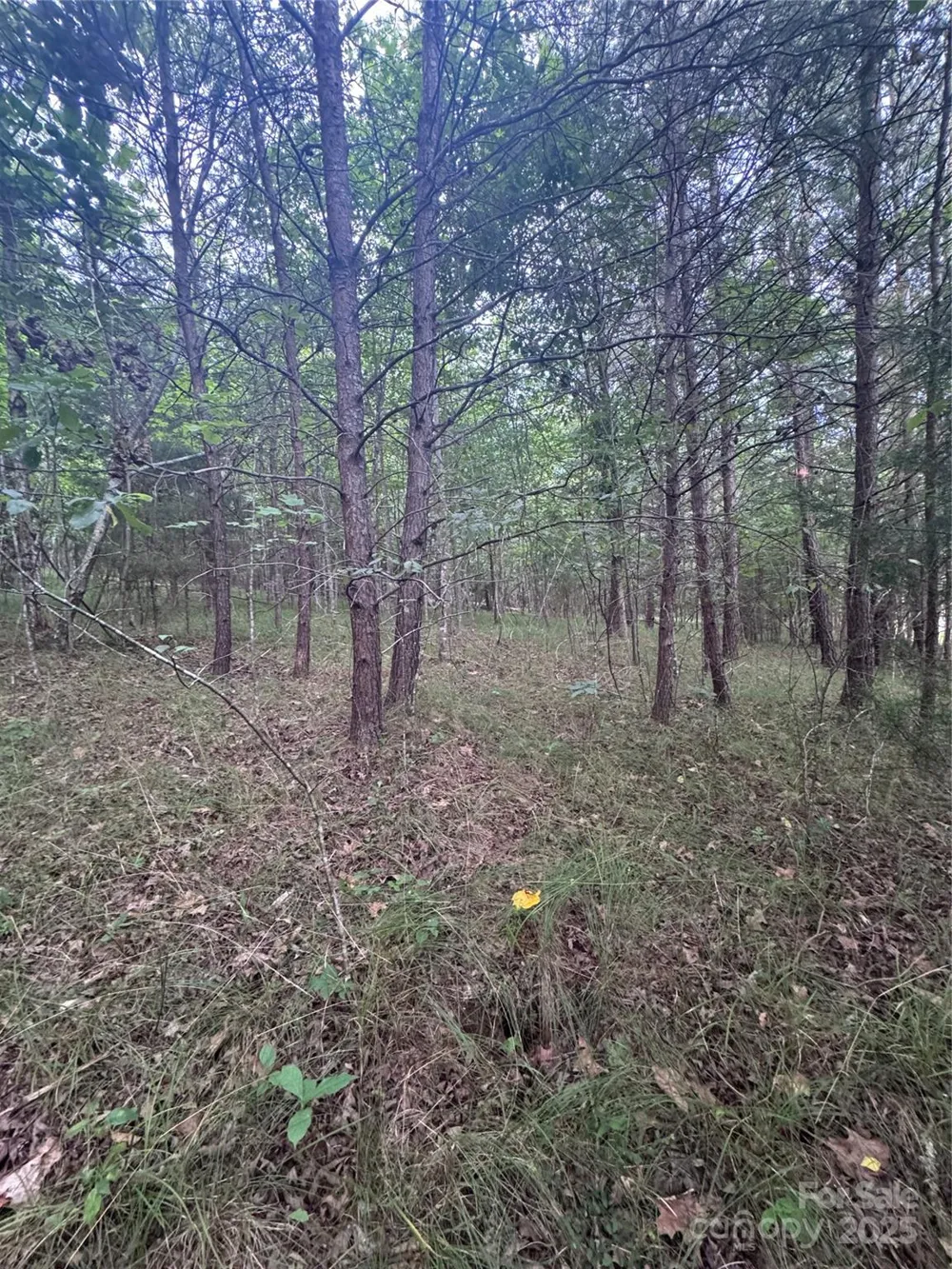 0 Cross Creek Drive #67 Rutherfordton, NC 00000