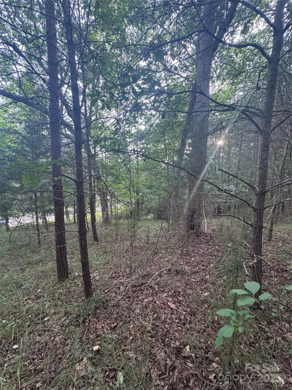 0 Cross Creek Drive #67 Rutherfordton, NC 00000