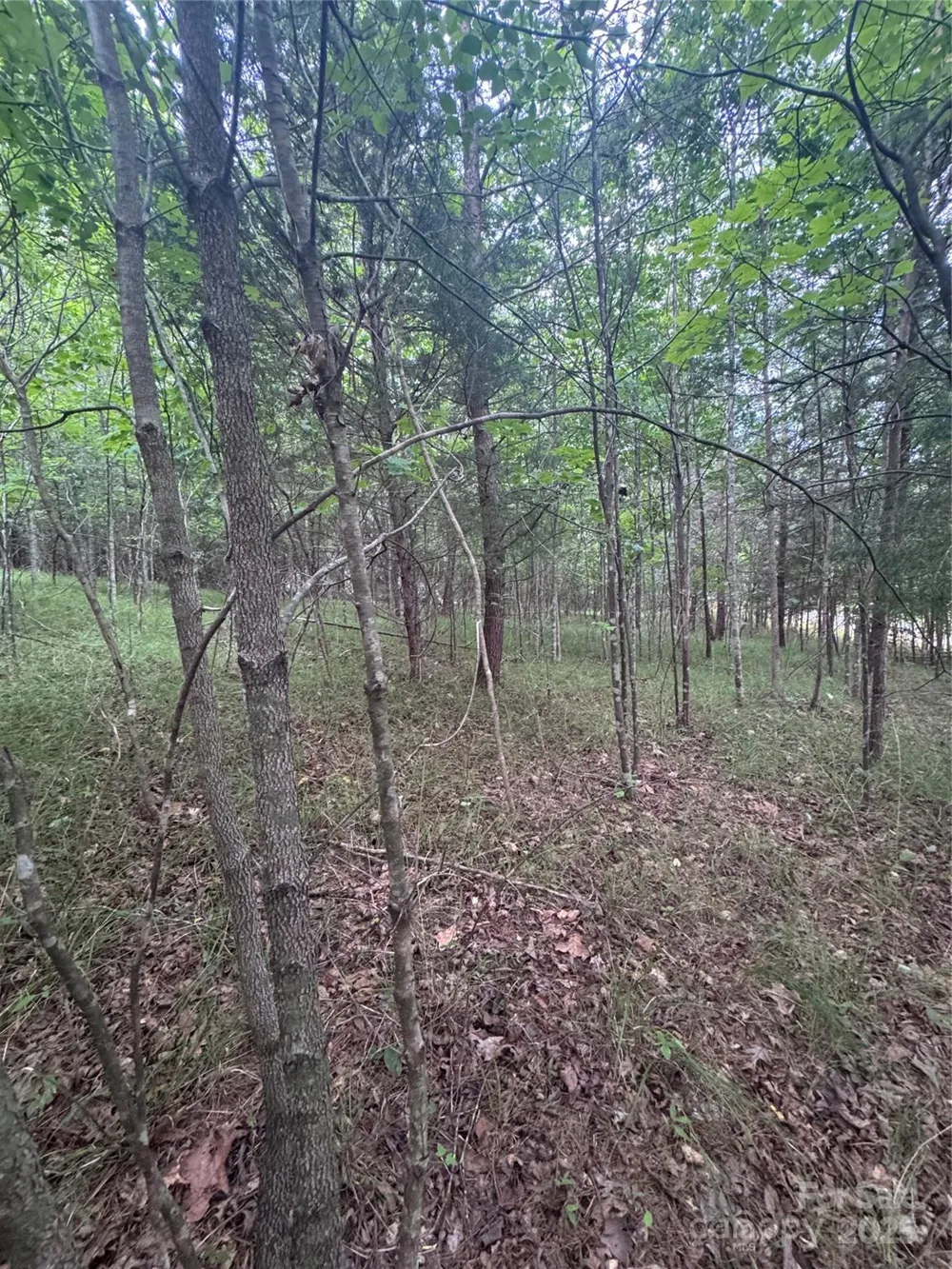 0 Cross Creek Drive #67 Rutherfordton, NC 00000