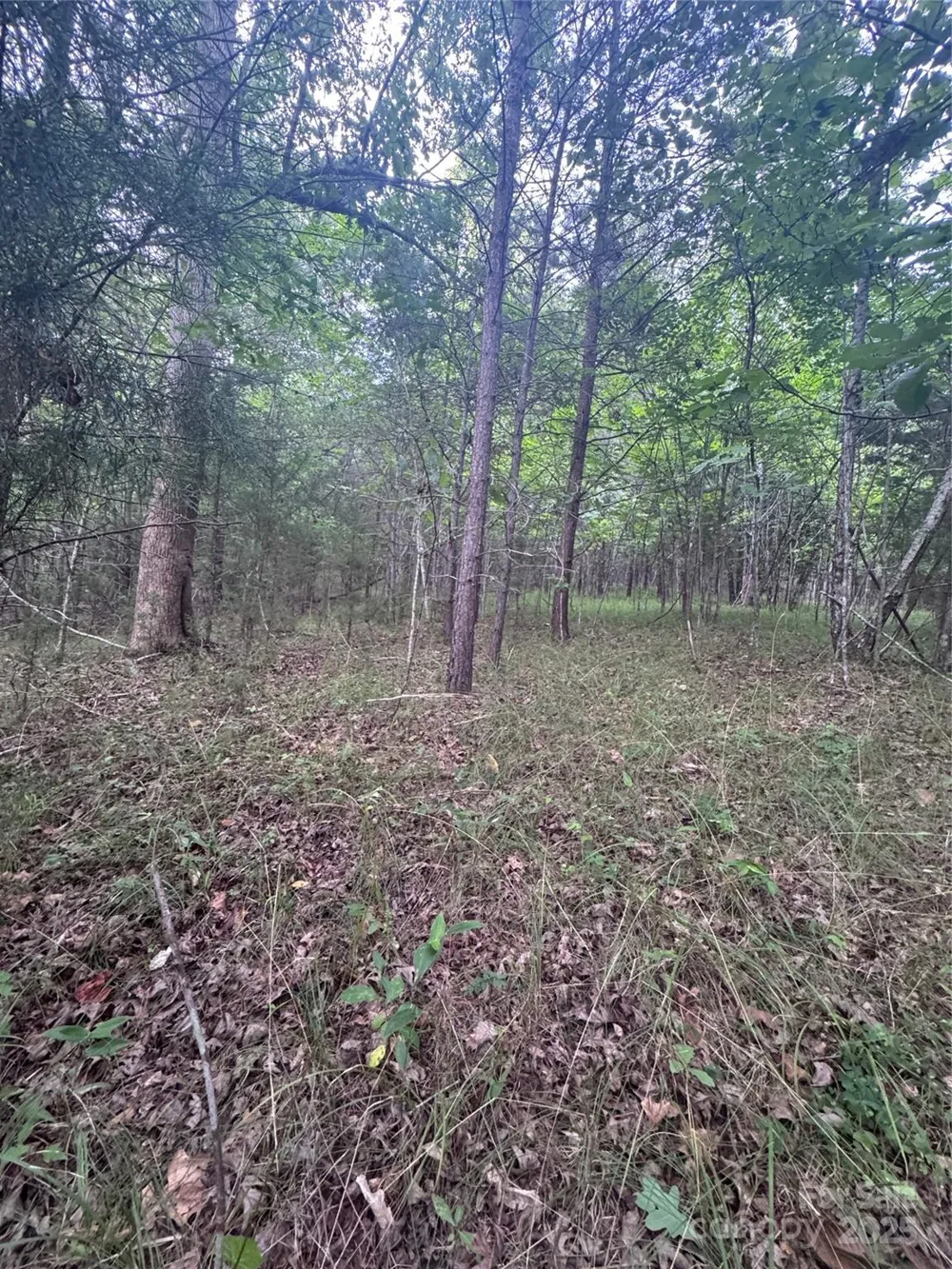 0 Cross Creek Drive #67 Rutherfordton, NC 00000
