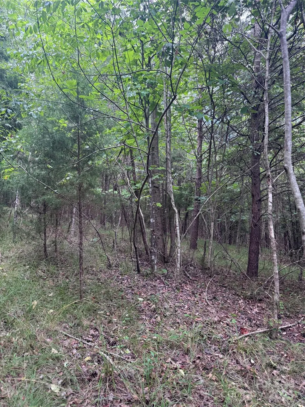 0 Cross Creek Drive #67 Rutherfordton, NC 00000